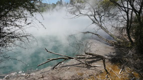 Rotorua - Kuirua Park - around the lake