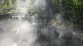 Rotorua - Kuirua Park - so cool