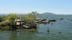 Rotorua - Whangapiro