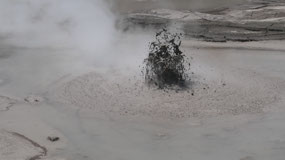 Wai-o-tapu - the mud pools