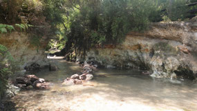 Wai-o-tapu - and here comes the hot stream