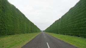 In Kiwi country