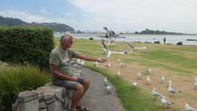 Whakatane  - and they are all hungry