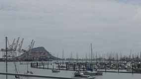 Tauranga - the harbour