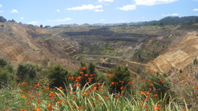 Waihia - Martha Mine