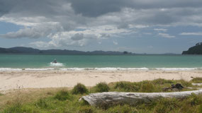 Cooks Beach