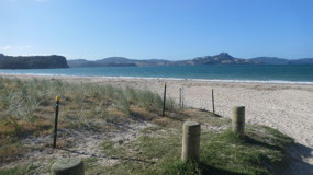 Cooks Beach - enjoying the beach