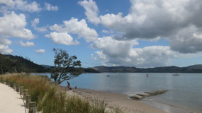 Cooks Beach - Flax  mill beach