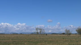 Headiang towards Auckland