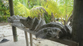 Aitutaki Lagoon Cruise - the giant clams