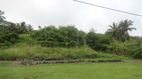 Rarotonga - some historic ruins with a cat
