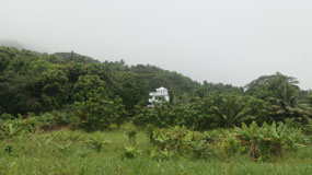 Rarotonga - a beautiful house