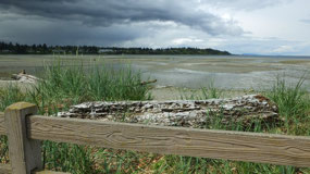 Parksville waterfront walkway