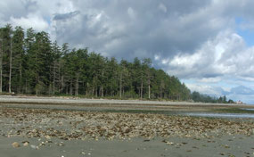 Rathrevor PP - Gine's first low tide