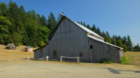 Salt Spring Island - Ruckle farm