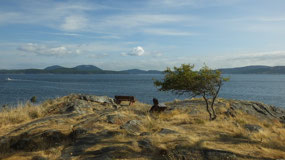 Salt Spring Island - Morning at Ruckle PP
