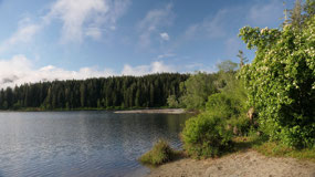 Fairy Lake - morning sunshine