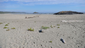 Long Beach - what a beautiful beach