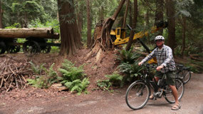 Willingdon Beach trail - finding more