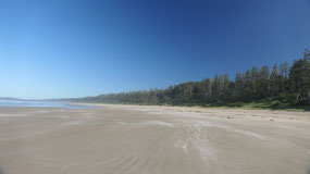 Long Beach - the beach getting lost