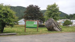 we are in forestry country