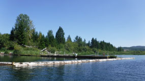 Nanaimo Lakes - an old swimming pool