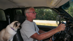 Mandy an active backseat driver