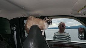 Hornby Isl - 2 are waiting