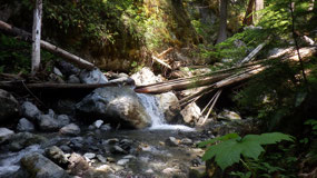Kaarst Creek Falls - along the creek