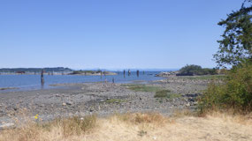 Comox - along the ocean