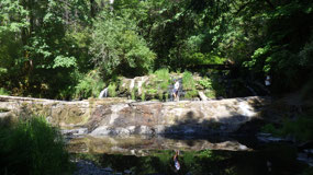 Errington - Tripple Falls