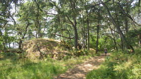 Ford Rodd Hill NHS - through the garry oak forest