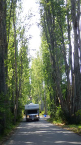 Sooke East RP - a cute road