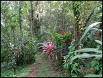 trail