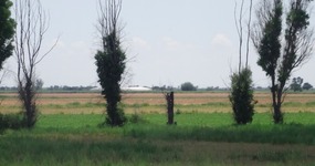 more farm land