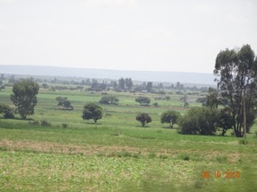 bigger farm