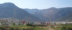 cacti and mountains