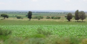 even more farm land