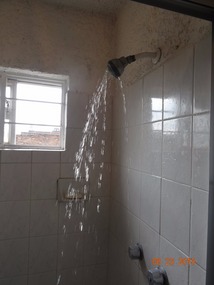 shower head
