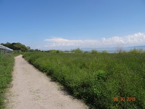 path going forward from 'corn field'
