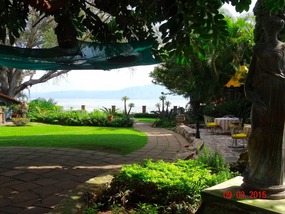 garden and lake
