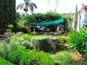 garden fr lake