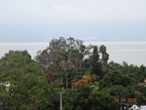 SW