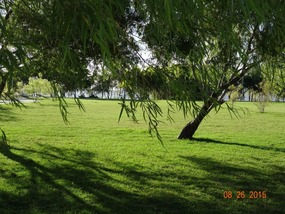 E from walkway