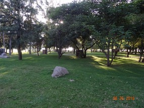 NE