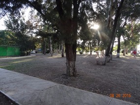 park, walking in on left side