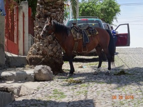 park your horse, señor?