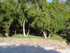 SW from walkway