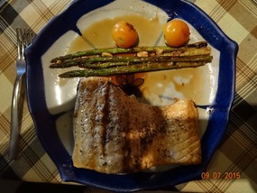 salmon