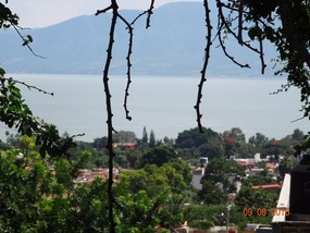 big view